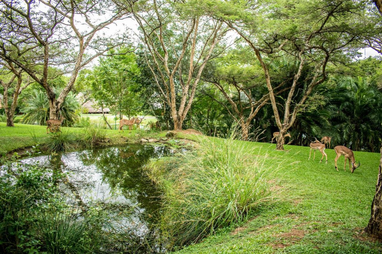 Inyamatane Luxury Lodge Hazyview Buitenkant foto